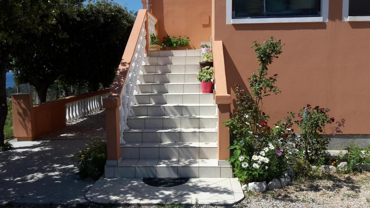 Apartman Jadranka Palit Exterior foto